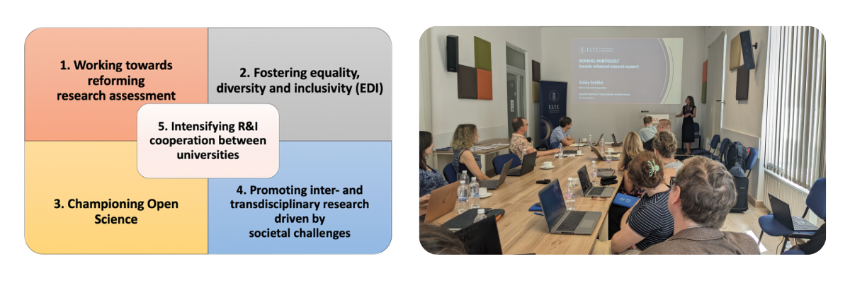 Image of cross-cutting principles and project meeting